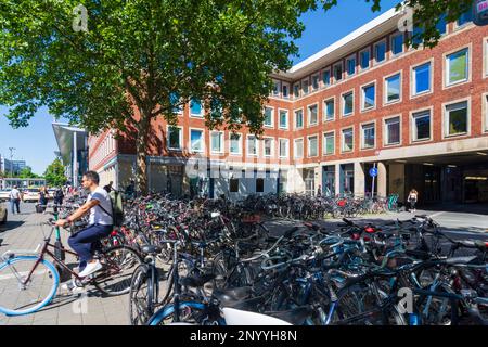 Münster: Vélos garés devant la gare Hauptbahnhof de Münsterland, Nordrhein-Westfalen, Rhénanie-du-Nord-Westphalie, Allemagne Banque D'Images