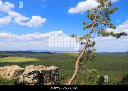 Vue depuis le château de Regenstein à Blankenburg à Harz jusqu'aux montagnes de Harz - Allemagne Banque D'Images