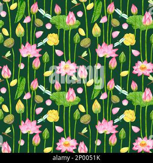 Motif sans couture avec rose et jaune de bourgeons fleurs de lotus, boîtes de graines. Illustration aquarelle dessinée à la main sur fond vert foncé. Pour créer Banque D'Images