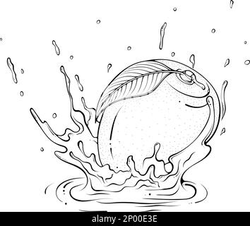 Mangue entière avec art Splash Line Illustration de Vecteur