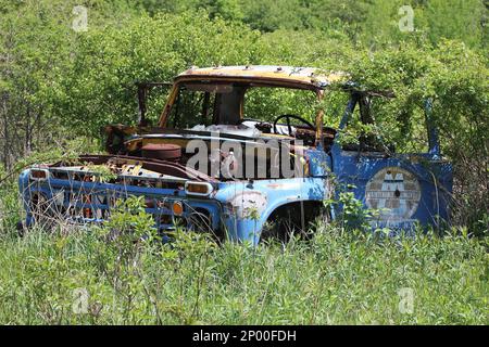 Un vieux camion bleu américain classique est rouillé dans les bois Banque D'Images