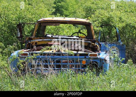 Un vieux camion bleu américain classique est rouillé dans les bois Banque D'Images