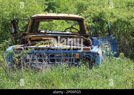 Un vieux camion bleu américain classique est rouillé dans les bois Banque D'Images