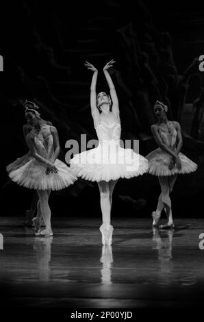 Ekaterine Surmava - Prima ballerina de ballet d'Etat de Géorgie Banque D'Images