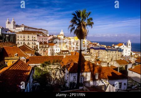 Vue de la ville avec l'église de São Vicente de Fora et église de Santo Estevao,Alfama.Lisbonne. Le Portugal. Banque D'Images