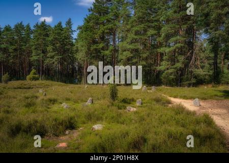 Cercles de pierre à Odry entourés de pins, un ancien lieu de sépulture et de culte. Réserve naturelle et archéologique de l'UNESCO, Pomerania, Pologne Banque D'Images