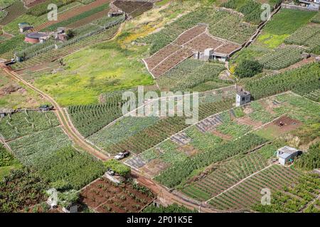 Paysage agricole, autour de Camara de Lobos, Madère, Portugal Banque D'Images