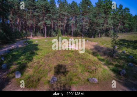 Vue de dessus sur les cercles de pierre à Odry, un ancien lieu de sépulture et de culte. Réserve naturelle et archéologique de l'UNESCO, Pomerania, Pologne Banque D'Images