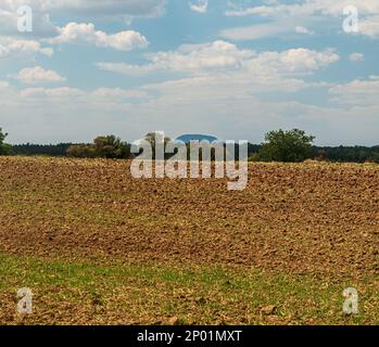 Champ avec des arbustes autour et colline RIP sur le fond en République tchèque - vue près de la ville de Steti pendant l'été Banque D'Images