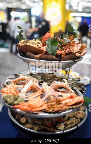 France. 28th févr. 2023. Championnat de France des Ecatlers - salon International de l Agriculture du 25 février au 5 mars 2023 a Paris Expo porte de Versailles. (Photo de Lionel Urman/Sipa USA) crédit: SIPA USA/Alay Live News Banque D'Images