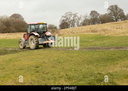 Gigrin Farm Red Kitye Feeding station Banque D'Images