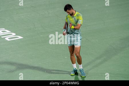 Dubaï, Émirats arabes Unis. 02 mars 2023, Dubaï, Émirats arabes Unis. 02 mars 2023 Novak Djokovic de Serbie réagit après avoir perdu un point contre Hubert Hurkacz de Pologne lors de leur ATP 500 Dubai Duty Free tennis Championships 2023 quart-finale match sur 02 mars 2023 à Dubaï, Émirats arabes Unis. Photo de Victor Fraile / Power Sport Images Banque D'Images