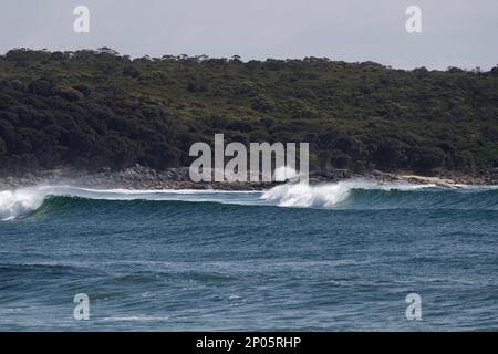 À l'entrée de la baie Georges, près de St Helens, au large de la plage de Blanches, les vagues de surf parfaites déllent la côte lointaine bordée d'arbres sur la baie Burns, en Tasmanie Banque D'Images