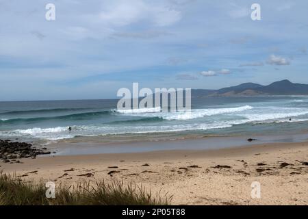 Shelly Beach, vagues immaculées de surf parfaites sur la côte est de Tasmanie. Banque D'Images