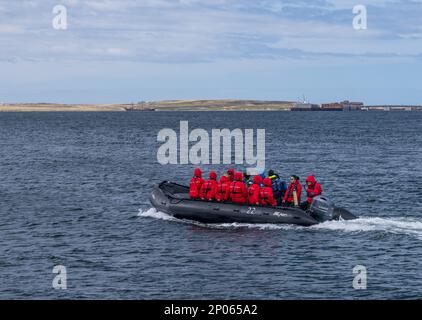 Port Stanley - îles Falkland : 31 janvier 2023 : passagers de la croisière en Antarctique à Silversea prenant un BATEAU À CÔTES pour rejoindre Stanley Banque D'Images