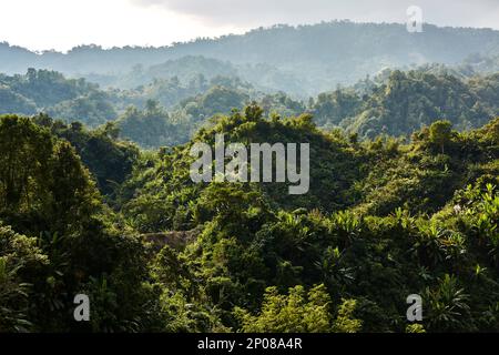 Après-midi ensoleillé dans les knolls boisés dans la région du lac Kaptai, Rajasthali, Rangamati, Division Chittagong, Bangladesh - 05 janvier 2020: Brillant soleil Banque D'Images