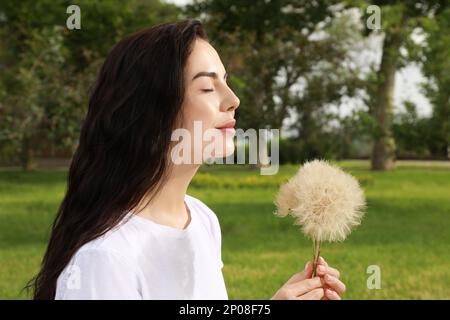 Belle jeune femme avec de grands pissenlits dans le parc. Concept anti-allergie Banque D'Images