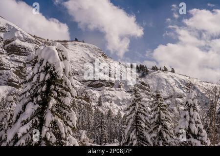 Vue sur les parois enneigées du canyon à Sundance Resort, également connu sous le nom de Sundance Mountain Resort, qui est une station de ski située à 13 miles (21 km) de northe Banque D'Images