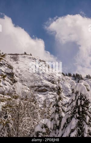 Vue sur les parois enneigées du canyon à Sundance Resort, également connu sous le nom de Sundance Mountain Resort, qui est une station de ski située à 13 miles (21 km) de northe Banque D'Images