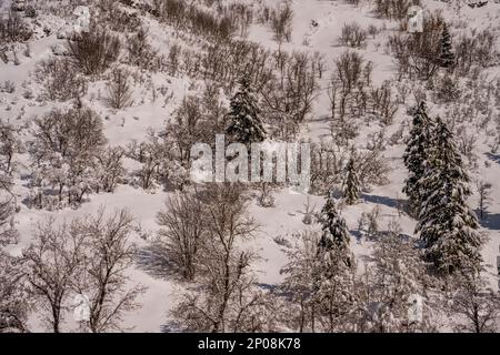 Vue sur les parois enneigées du canyon à Sundance Resort, également connu sous le nom de Sundance Mountain Resort, qui est une station de ski située à 13 miles (21 km) de northe Banque D'Images