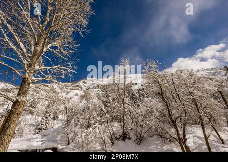 Vue sur les parois enneigées du canyon à Sundance Resort, également connu sous le nom de Sundance Mountain Resort, qui est une station de ski située à 13 miles (21 km) de northe Banque D'Images