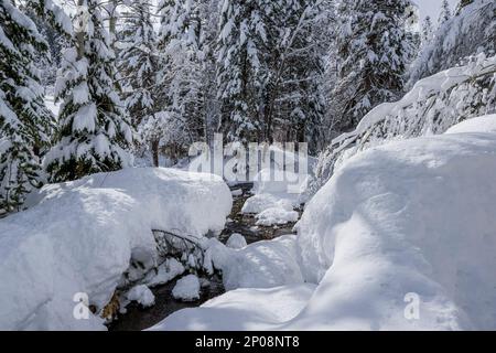 Paysage d'hiver avec arbres enneigés à Sundance Resort, également connu sous le nom de Sundance Mountain Resort, qui est une station de ski située à 13 miles (21 km) NOR Banque D'Images