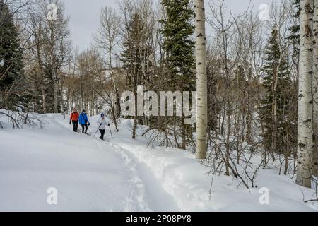 Trois femmes (libérées), dont un senior de 90 ans, raquette au Nordic Center of the Sundance Resort, également connu sous le nom de Sundance Mountain Resor Banque D'Images