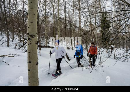 Trois femmes (libérées), dont un senior de 90 ans, raquette au Nordic Center of the Sundance Resort, également connu sous le nom de Sundance Mountain Resor Banque D'Images