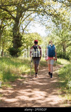 Vue arrière verticale de divers couples avec sacs à dos et bâtons de marche en forêt, espace de copie Banque D'Images