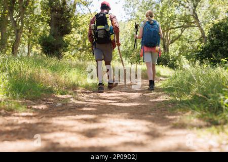 Vue arrière d'un couple varié avec sacs à dos et bâtons de marche dans la forêt ensoleillée, espace copie Banque D'Images