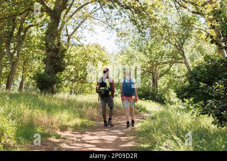 Vue arrière d'un couple varié avec sacs à dos et bâtons de marche dans la forêt ensoleillée, espace copie Banque D'Images