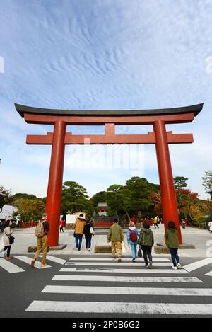 Le Tori principal (porte du Sanctuaire) du Sanctuaire Tsurugaoka Hachimangū à Kamakura, Japon. Banque D'Images