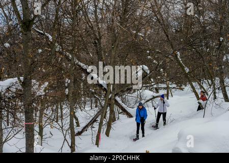 Trois femmes (libérées), dont un senior de 90 ans, raquette au Nordic Center of the Sundance Resort, également connu sous le nom de Sundance Mountain Resor Banque D'Images