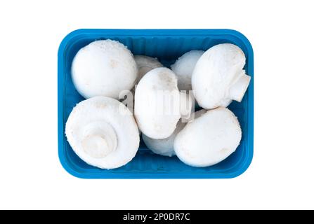 Vue de dessus champignons champagnes entiers dans un récipient en plastique bleu isolé sur fond blanc. Fond de champignons. Champignons porcini frais Banque D'Images