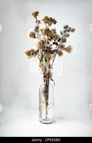 Fleurs sauvages et herbes séchées bouquet dans une bouteille de verre sur fond gris still life Banque D'Images