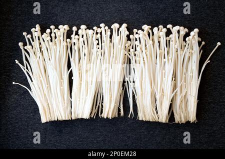 De nombreux champignons Enokitake blanc sur noir isolé. Asiatique brute ingrédient alimentaire - l'aiguille d'or ou de champignons enoki Banque D'Images