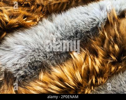 Arrière-plan de texture à poils longs brun et gris. Raton laveur et lapin types de pelts disposés dans une rangée de gros plan Banque D'Images