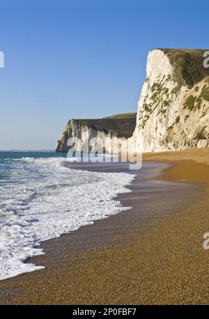 Vue sur les falaises de craie et la plage de galets, près de Durdle Door, Dorset, Angleterre, Royaume-Uni Banque D'Images