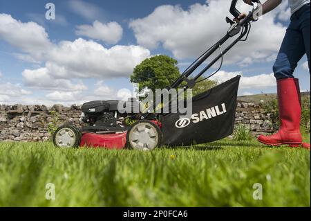 Femme qui tond la pelouse du jardin avec une tondeuse à essence. Hawes, Yorkshire du Nord, Grande-Bretagne Banque D'Images