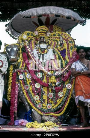 Lord Kumbeswarar avec la déesse Mangaligai dans les endroits décorés Rishaba Vahanam sur la rive du réservoir de Mahamakham à Kumbakonam, Tamil Nadu, Inde Banque D'Images