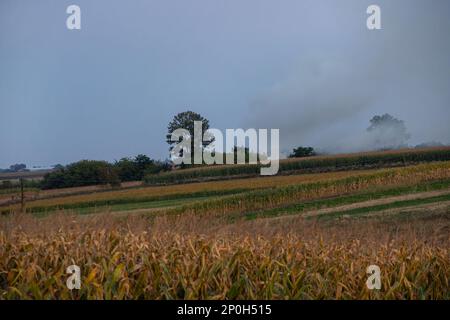 Brûlures d'herbe sèche . Pâturages et prairies à la campagne. Une catastrophe environnementale impliquant des personnes irresponsables. Paysages mystiques luxueux. Banque D'Images