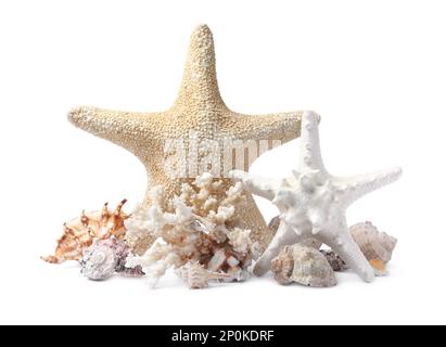 Belles étoiles de mer, corail et coquillages sur fond blanc Banque D'Images