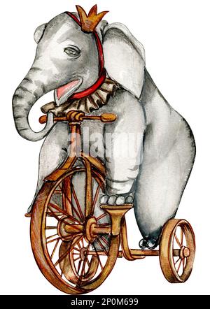 Aquarelle éléphant de cirque dessiné à la main sur vélo style vintage. Dessin d'un éléphant sur un vélo avec un ruban rouge autour de son cou. Banque D'Images