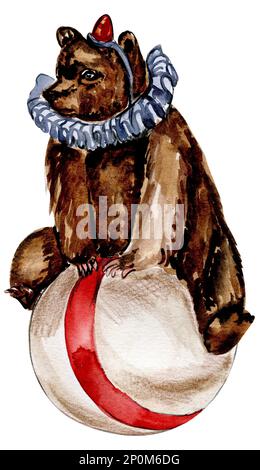 L'aquarelle est un ours de cirque dessiné à la main sur le ballon de style vintage. Parfait pour les mariages, les invitations, les blogs, les modèles de cartes, les cartes d'anniversaire et de bébé, Banque D'Images
