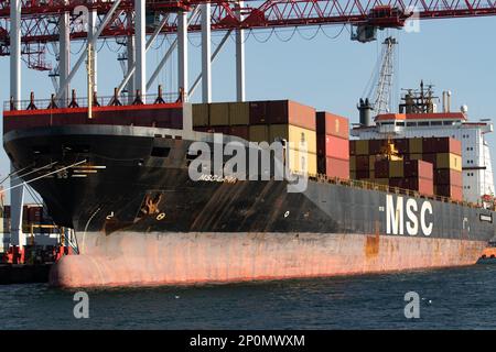 Odessa, Ukraine-202: Le terminal de logistique envoie des conteneurs de fret d'importation-exportation au navire de cargaison dans le port maritime. Paysage industriel avec grues portiques de chargement Banque D'Images
