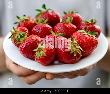 Assiette avec fraises maison dans les mains, sur fond vert flou. Gros plan. Banque D'Images