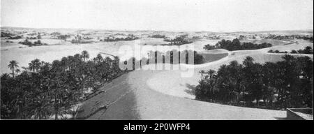 ''le bas Sahara-les Oasis, Oued Souf. La palmeraie, Afrique du nord, 1914. De "Grande Géographie Bong Illastree", 1914. Banque D'Images