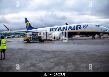 Avion Ryanair à l'aéroport de Stansted. Credit: Sinai Noor / Alamy stock photo Banque D'Images