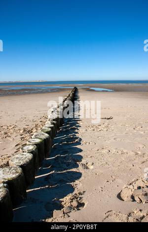 Une vue verticale de la plage avec des barrières en bois s'étendant sur la mer Banque D'Images