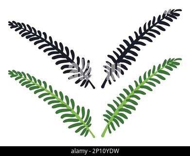Ensemble botanique avec silhouettes sombres et version verte de branches isolées sur fond blanc. Illustration de Vecteur